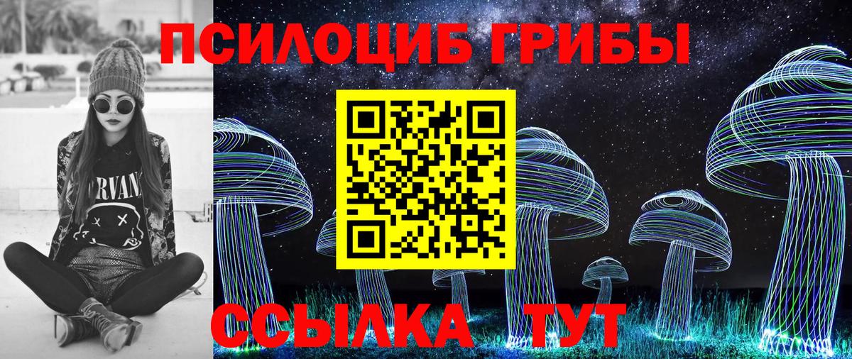 Ипатово  Псилоцибиновые грибы MAGIC MUSHROOMS  Вход с VPN 